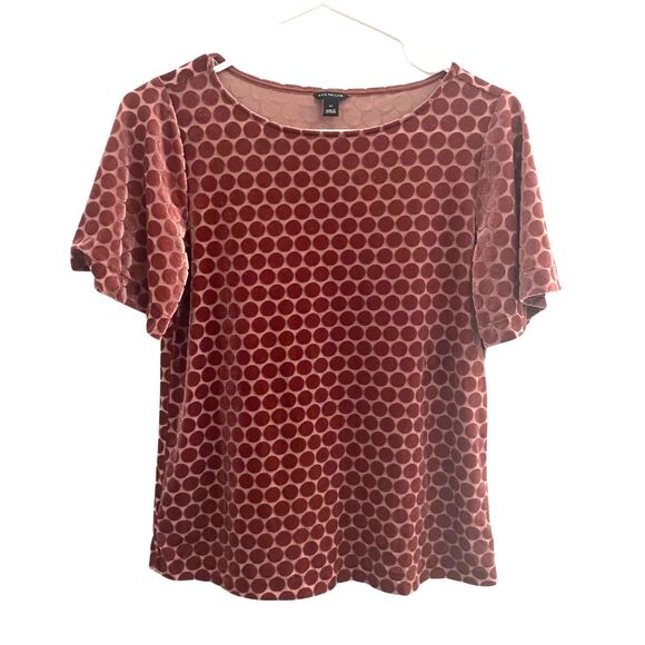 Ann Taylor Tops - Ann Taylor | Mauve Polka Dot Velvet Top Flutter Sleeve